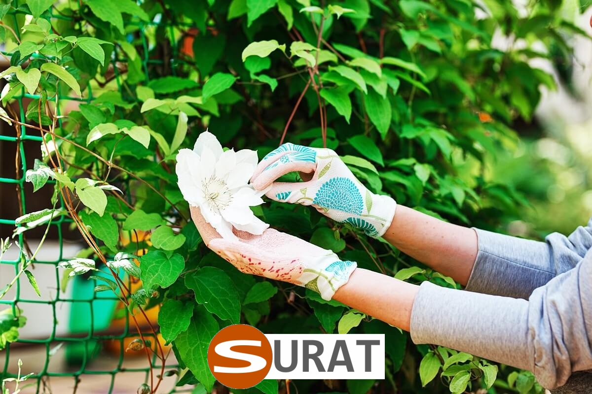   Surat - Siatka na autostrady i drogi z polipropylenu, 2mm grubości, w kolorze zielonym, z oczkiem 2x2cm, sprzedawana na wymiar. 