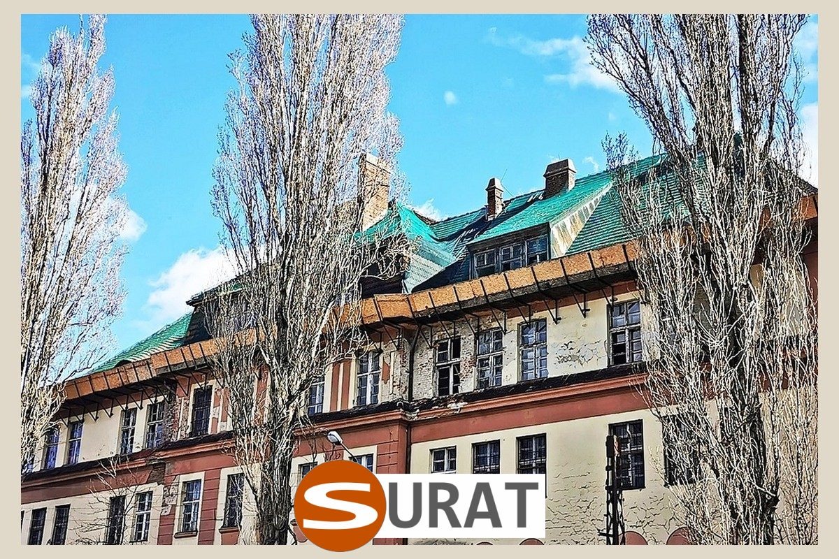   Surat - Siatka na stare dachy z polipropylenu o grubości 5 mm i zielonym lub szarym obszyciem, dostępna na wymiar z oczkami 8x8 cm. 