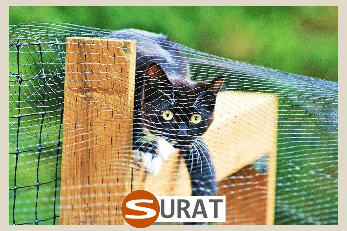  Surat - Siatki do zabezpieczenia zwierząt na balkonie 