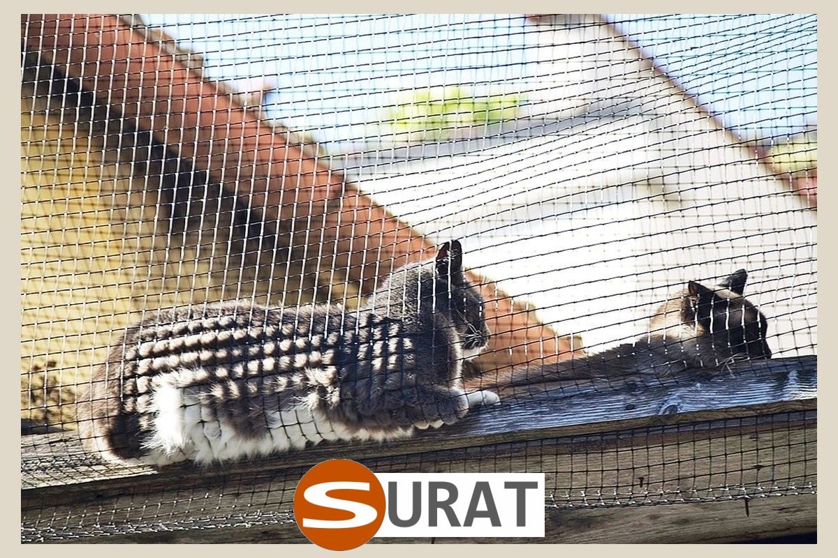   Surat - Siatka ochronna do zabezpieczeń w domu, z polipropylenu o grubości 3 mm i oczkach 4,5x4,5 cm, dostępna w różnych kolorach. 