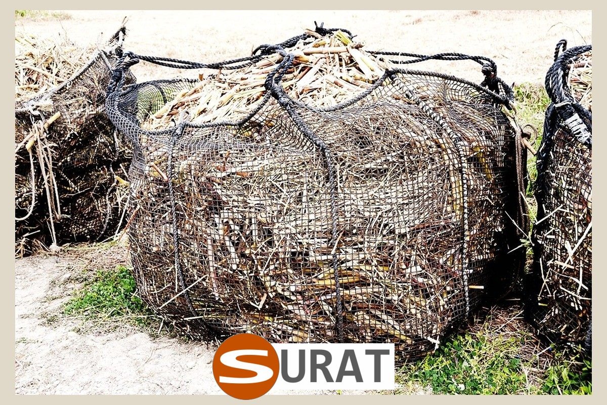  Surat - Solidna siatka na śmieci z polipropylenu o optymalnej 8x8cm oczkach, wybierana do trwałego wykorzystania. 