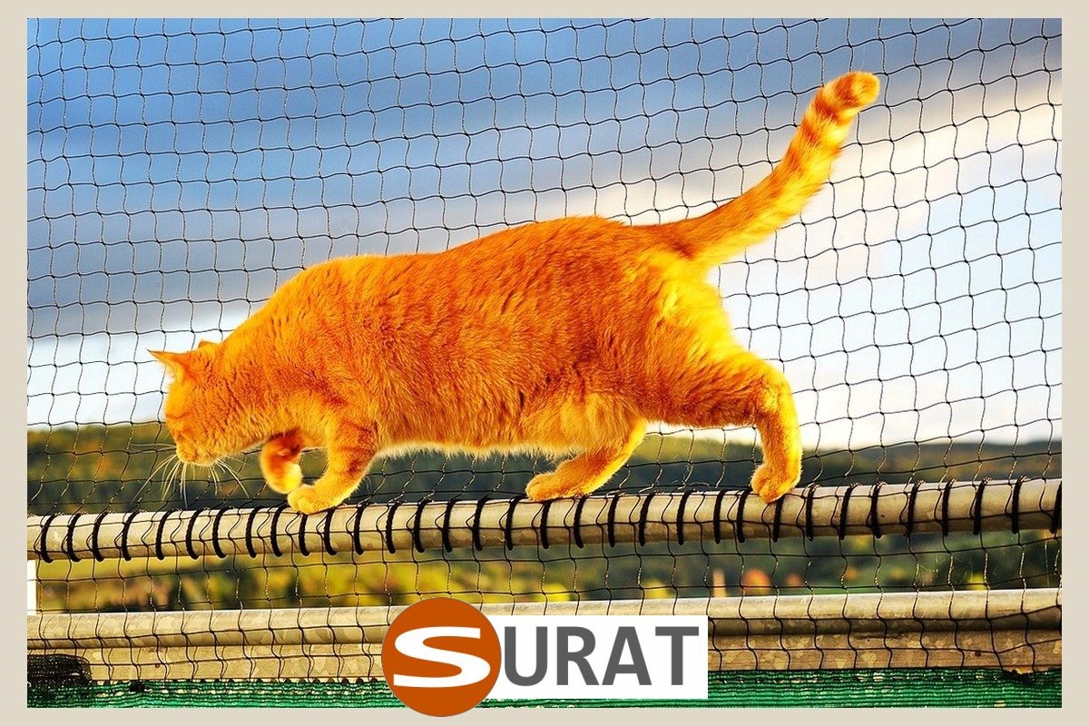  Surat - Odgrodzenie pomieszczeń w domu 
