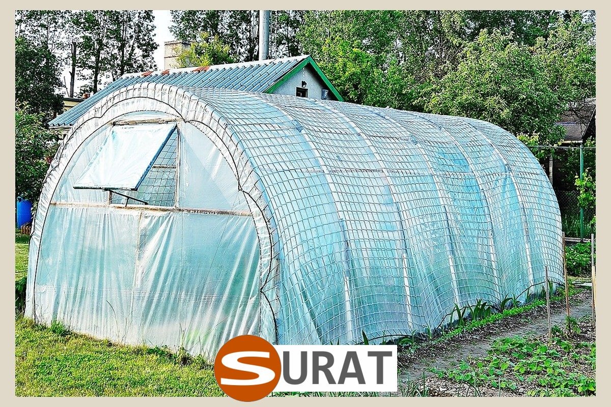  Surat - Siatka na tunel foliowy do ochrony upraw, zielona i czarna o oczkach 10x10 cm. 