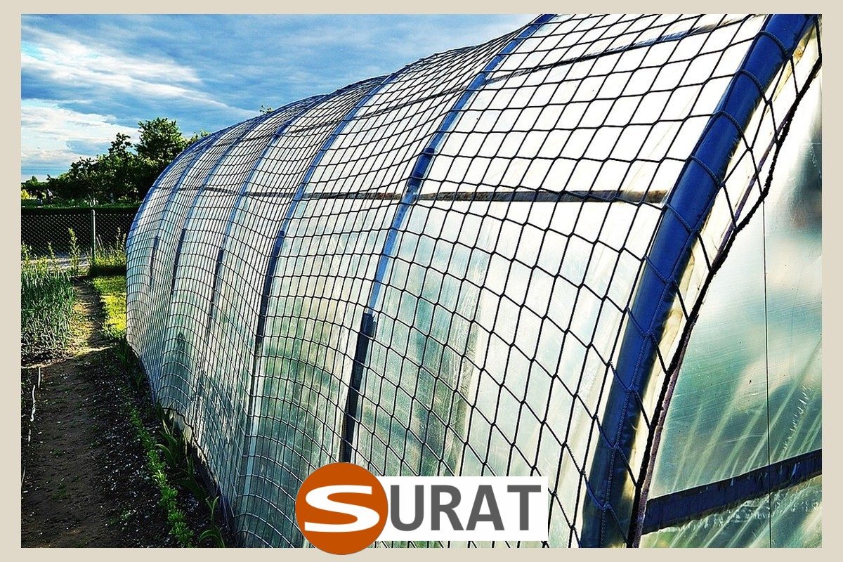  Surat - , 