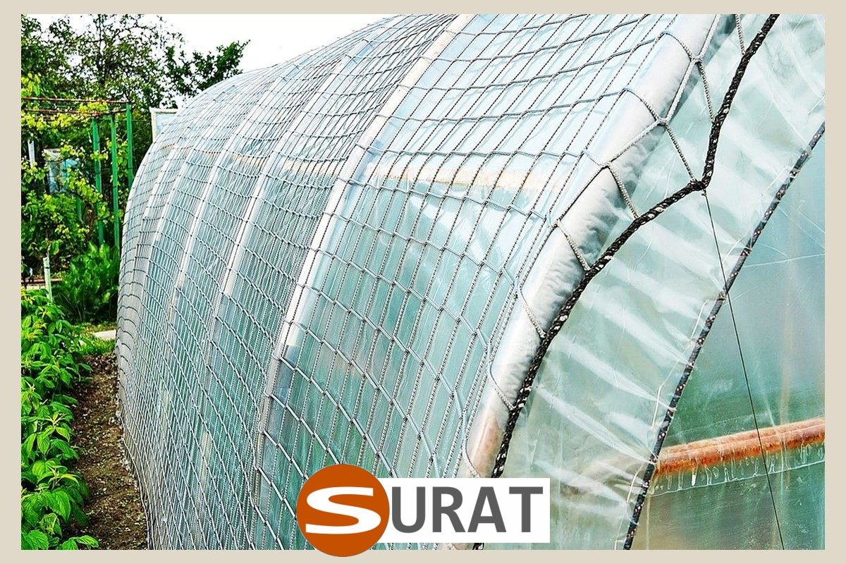  Surat - , 