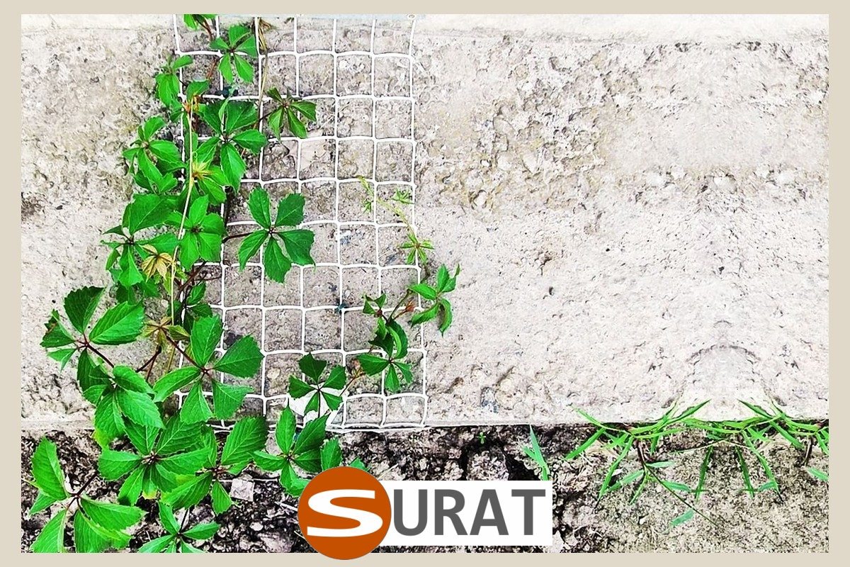  Surat - Ogrodzenie rabat na działce - Ogrodzenie rabaty z kwiatami na działce - Ogrodzenie rabat z roślinami 