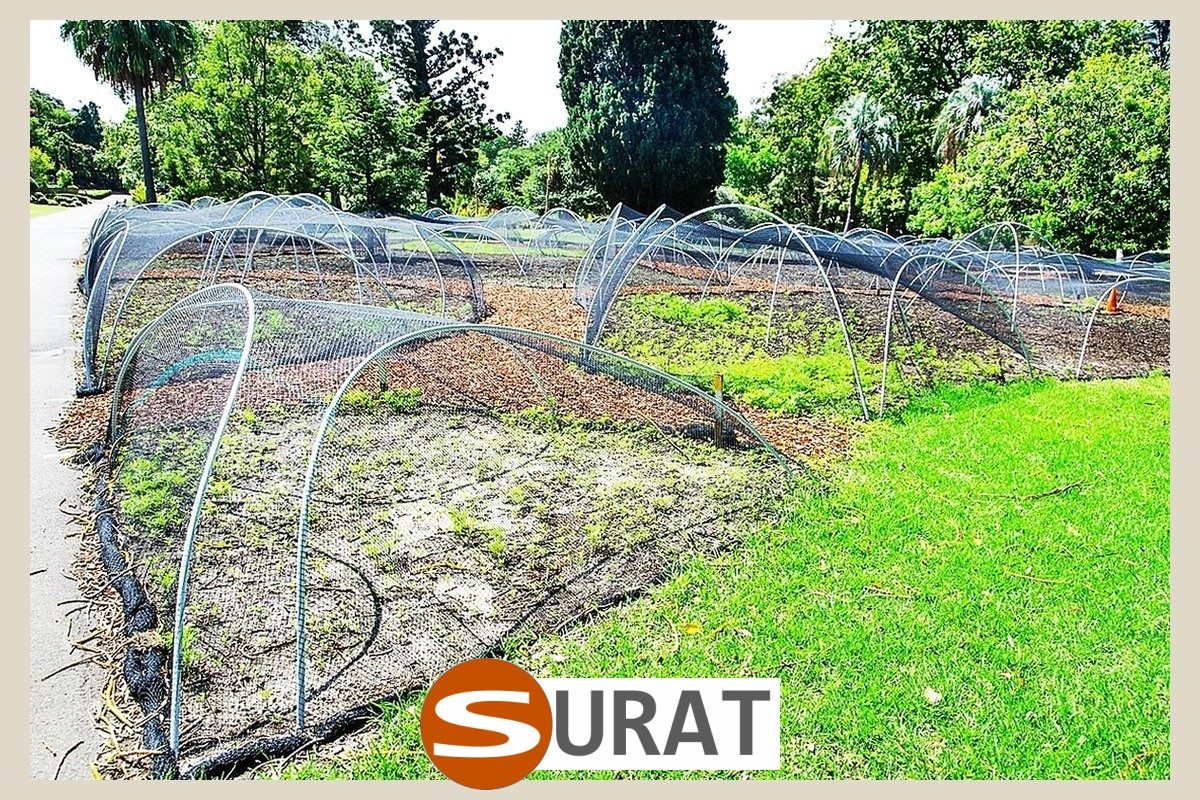  Surat - Siatka na grządki podwyższone - Zabezpieczenie uprawy warzyw i innych roślin w grządkach podwyższonych 