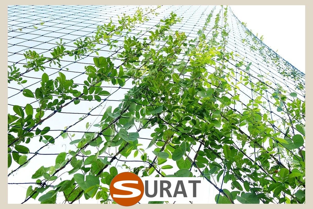  Surat - Wystrój w ogrodzie siatką 