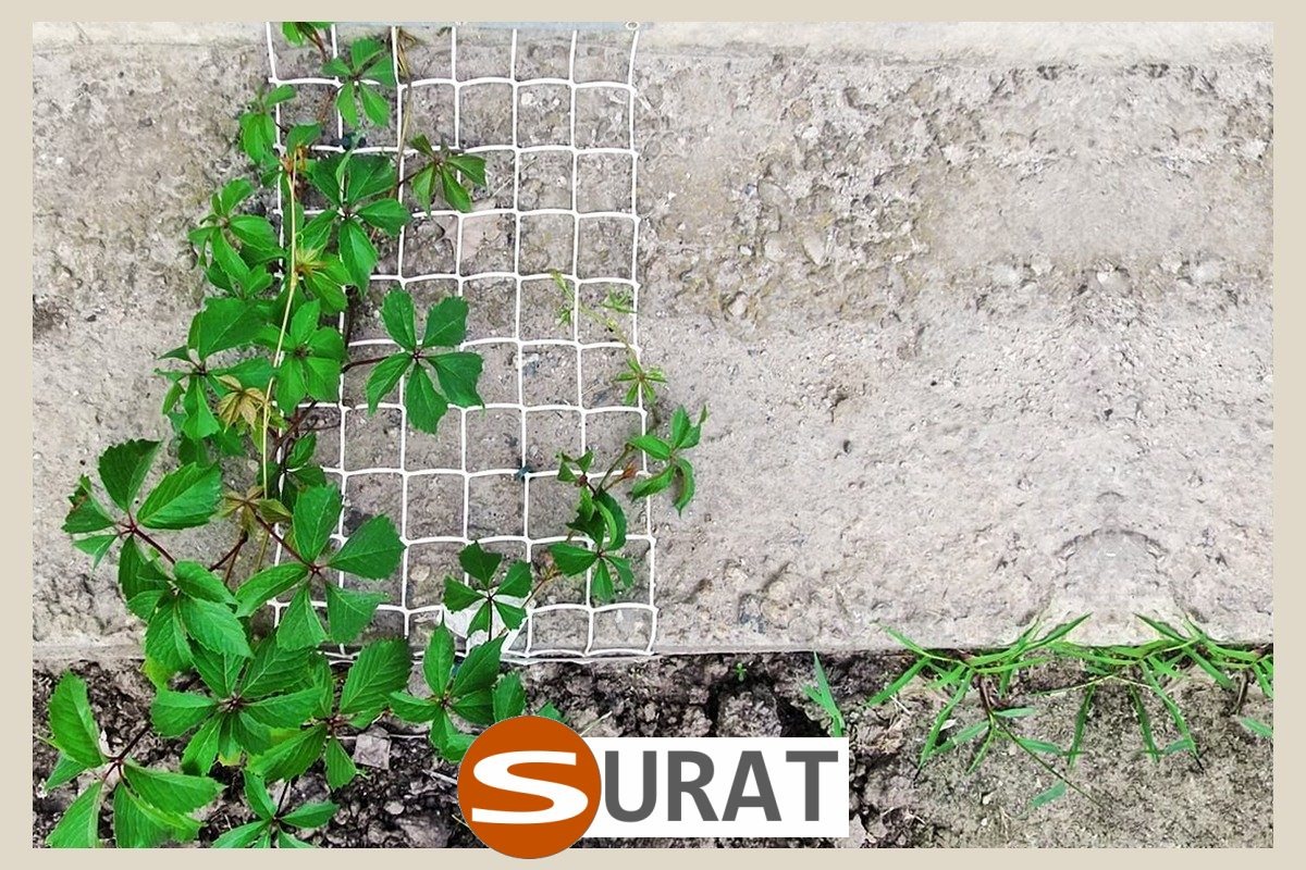  Surat - Zadaszenie w Ogrodzie - Siatka do rozwieszenia w ogrodzie w formie sufitu do oświetlenia lampionów i roślin 