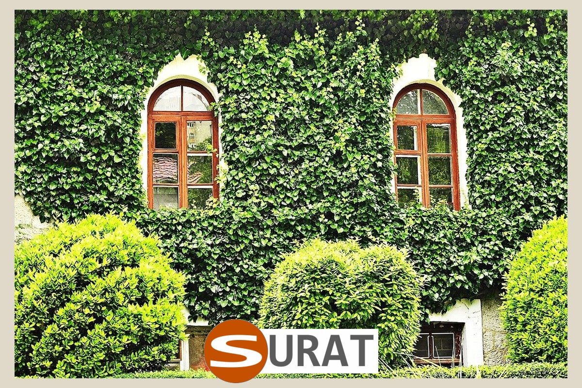  Surat - Siatka na pnącza uprawne w formacie 10x10 cm z obszyciem, wykonana z wytrzymałego materiału o grubości 4 mm, dostępna w odcieniu zieleni i sprzedawana na wymiar, doskonale zabezpieczy Twoje uprawy. 