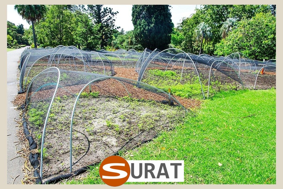  Surat - Siatka na działkę uprawną 