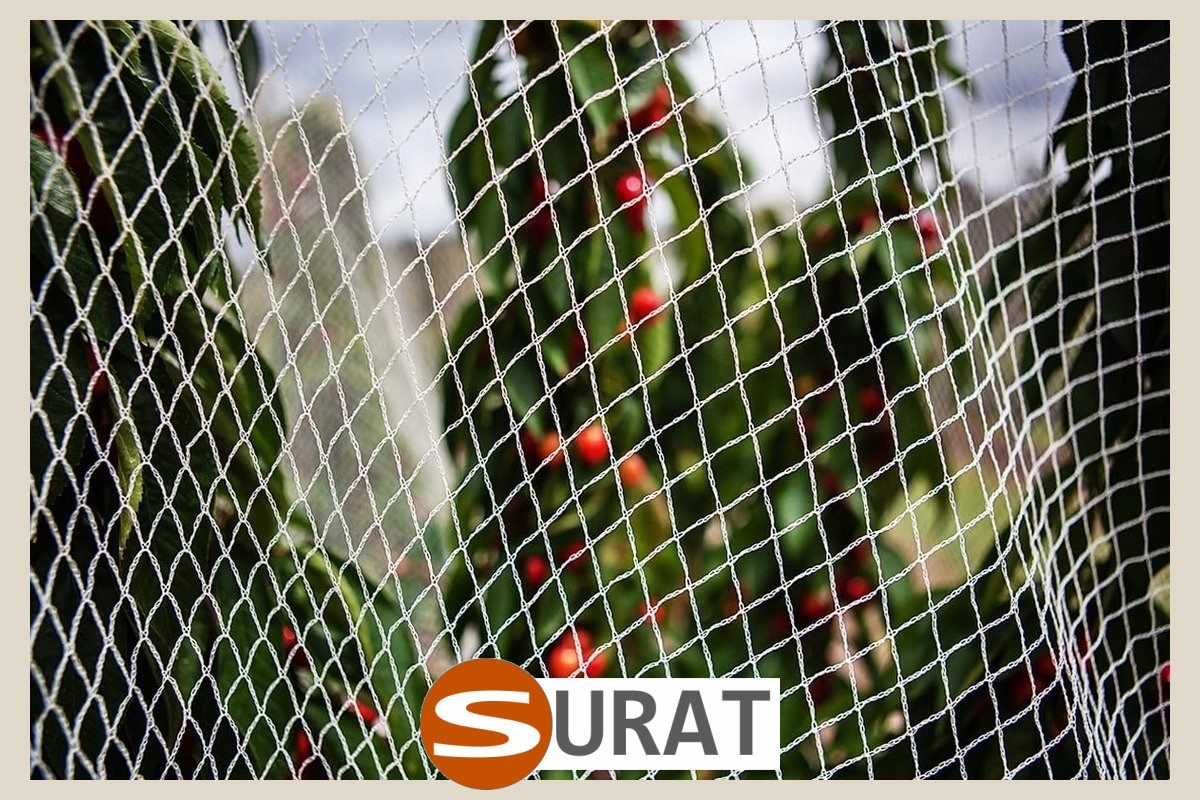  Surat - Ogrodzenie w ogrodzie uprawnym 