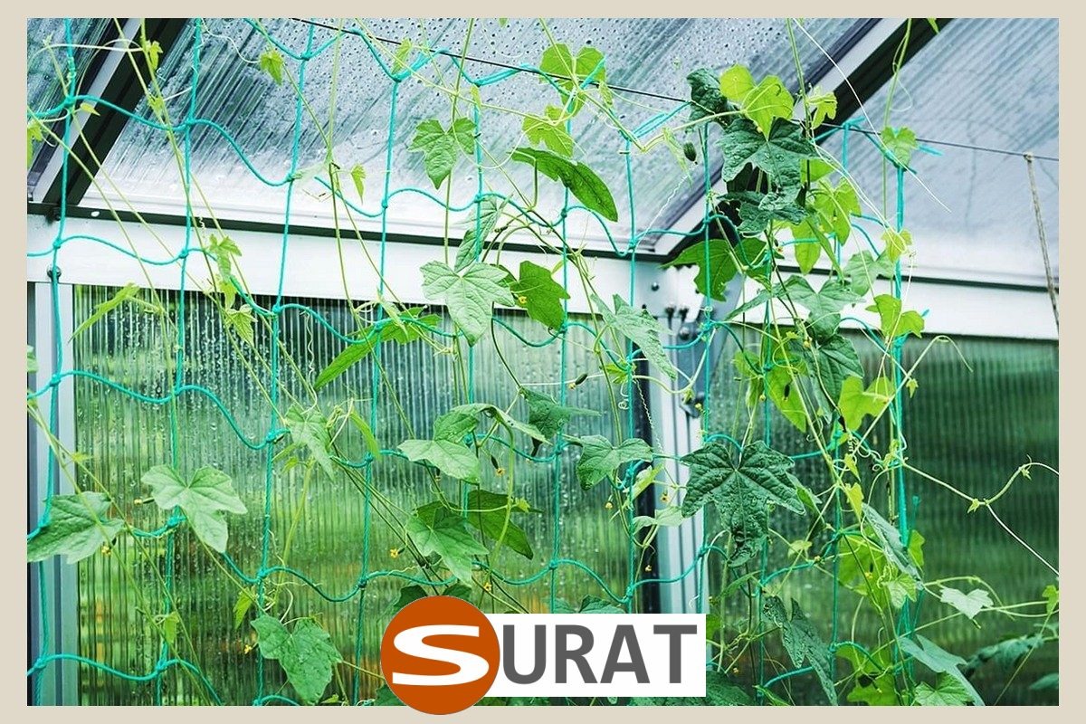  Surat - Siatki do ogródka uprawnego 
