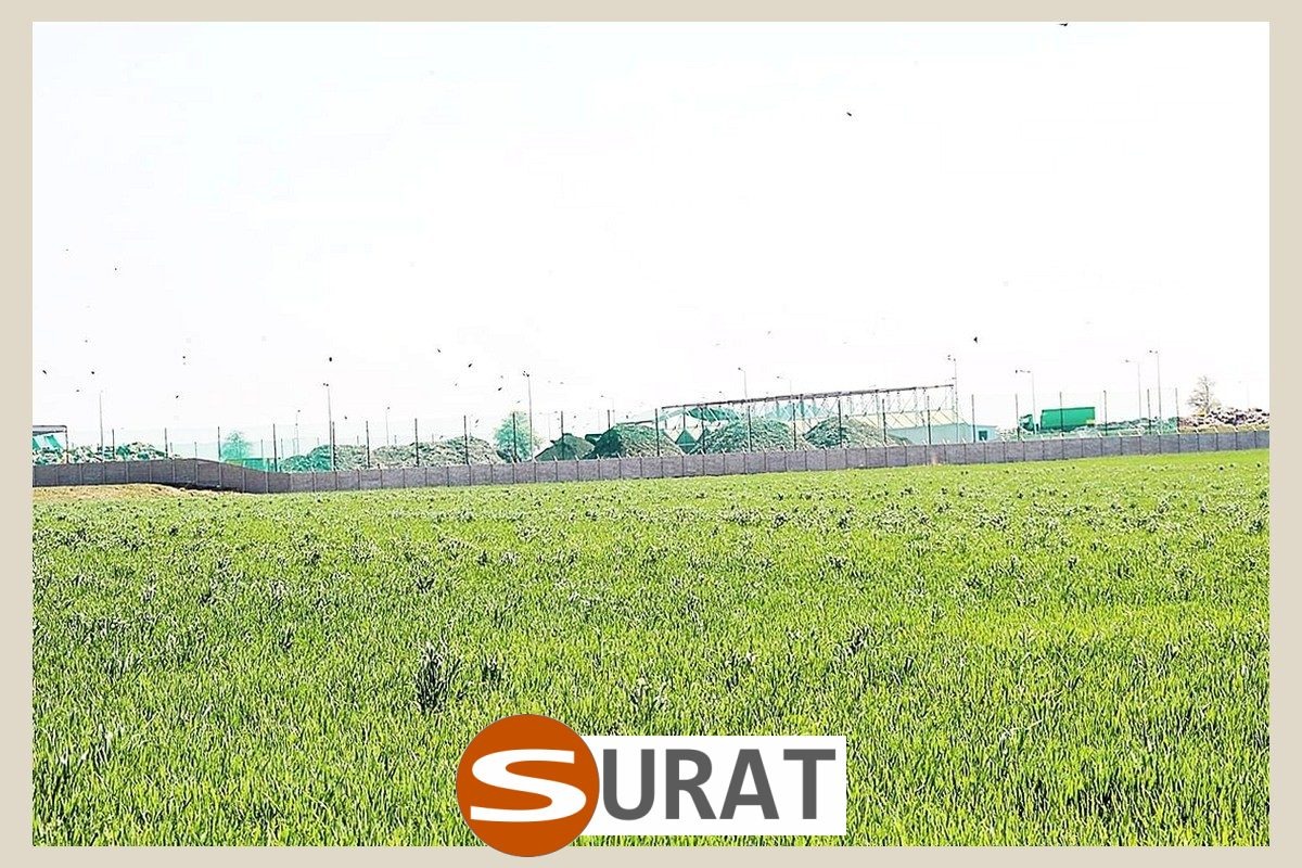  Surat - Siatki do przykrycia styropianu na placu 
