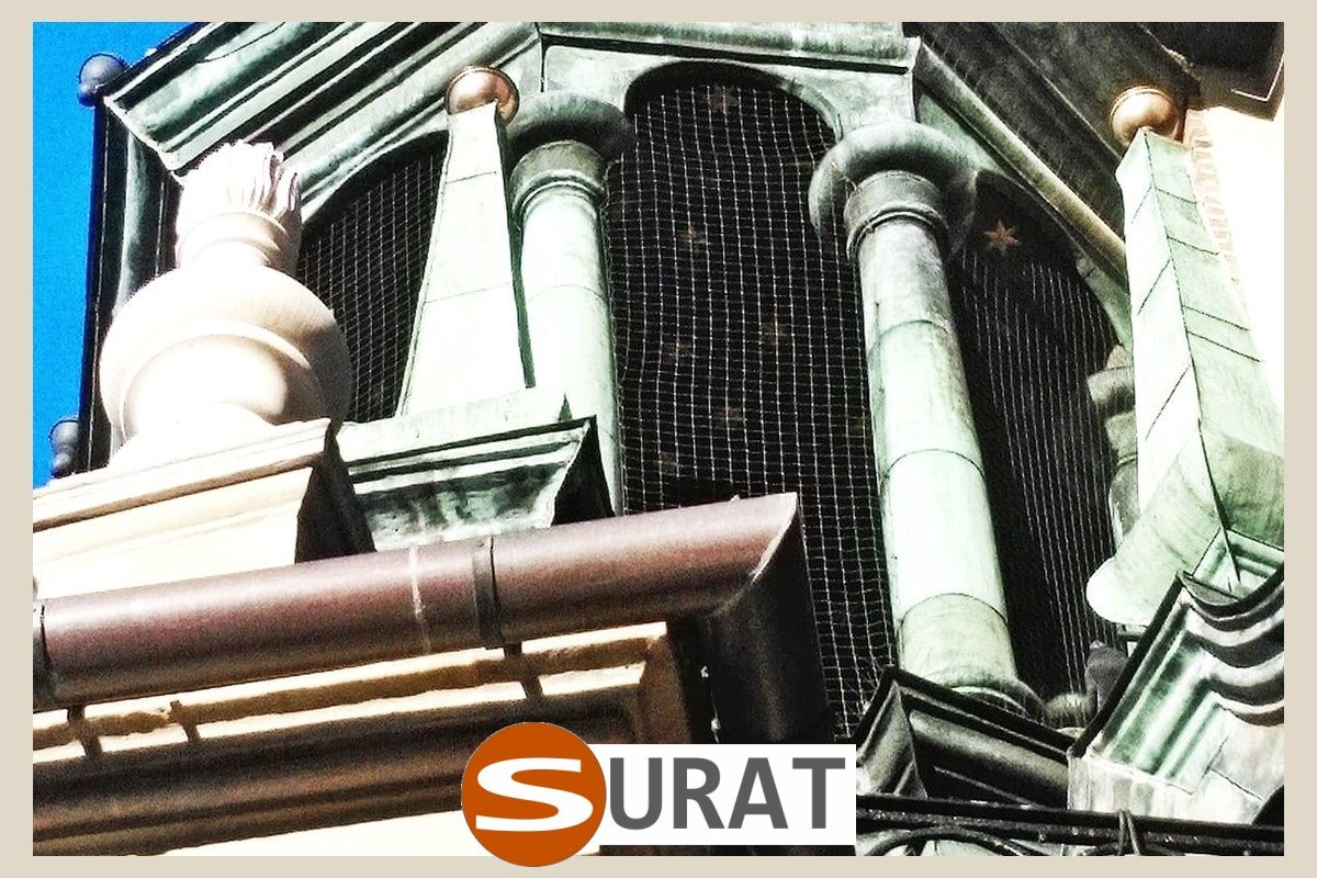   Surat - Siatka - 8x8/5 