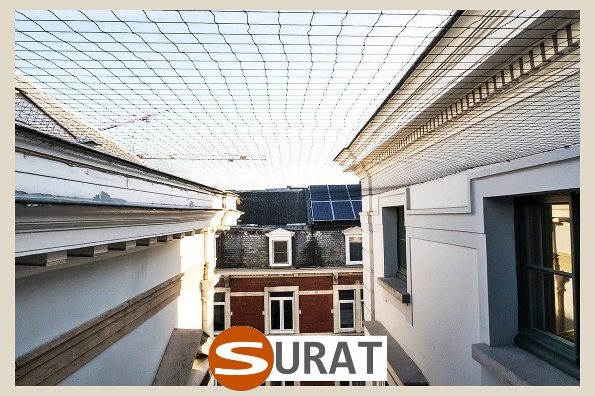   Surat - Siatka - 10x10/6 