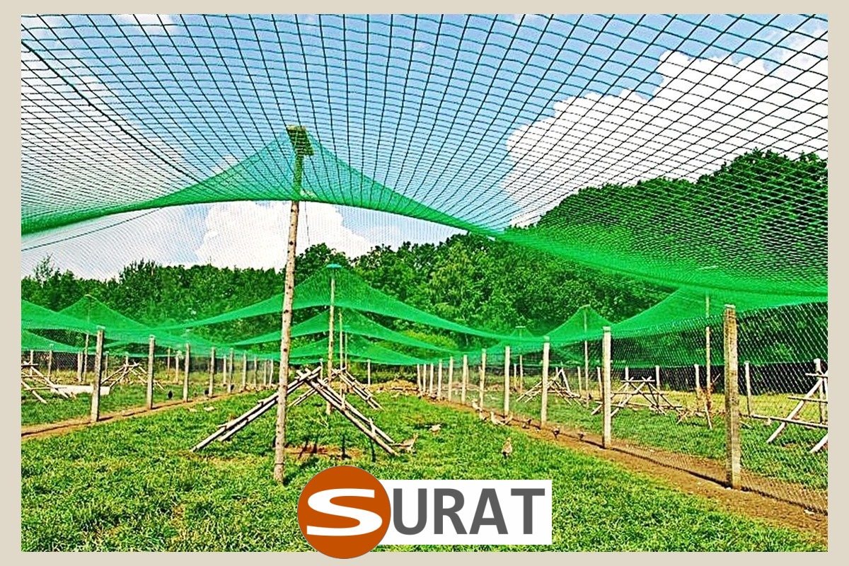   Surat - Siatka - 4x4/2 