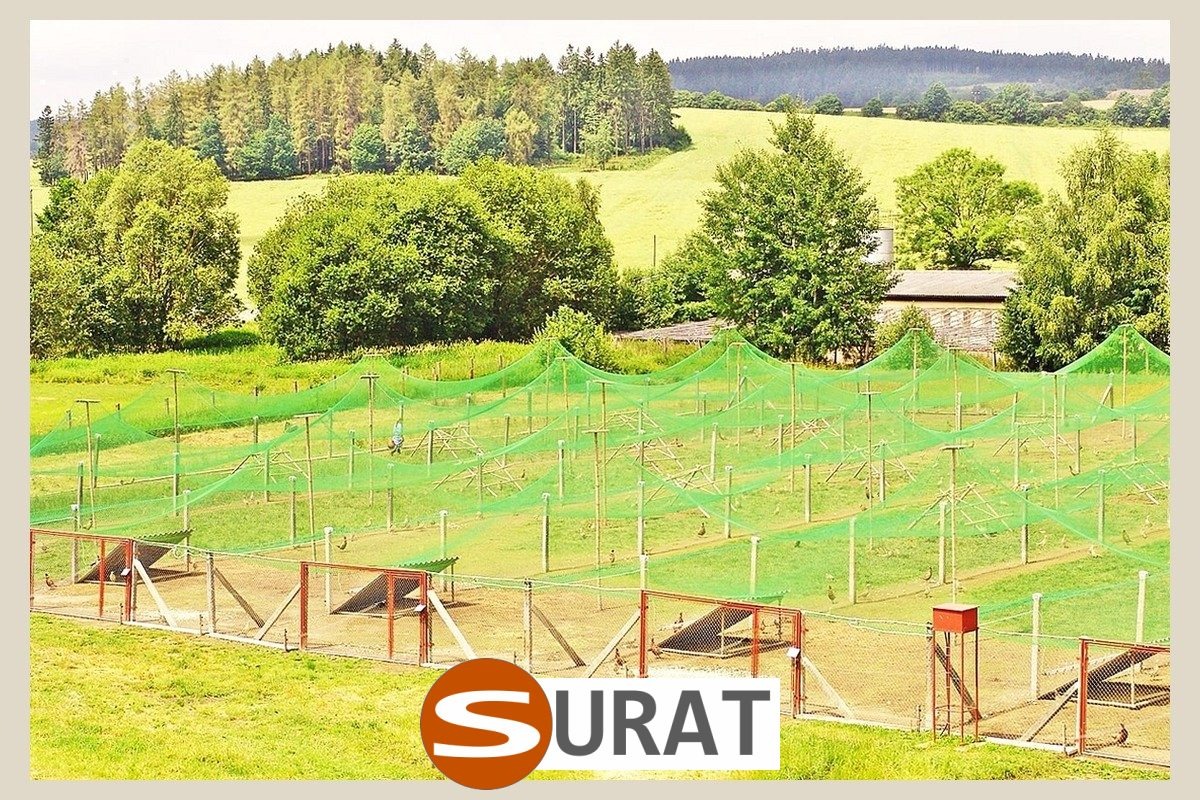  Surat - Siatki dla kaczek - Siatki zabezpieczające hodowle kaczek 