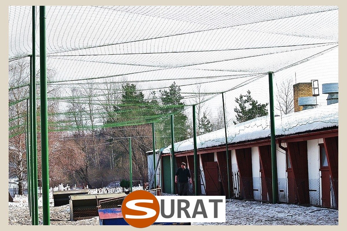  Surat - Ogrodzenie dla kur 