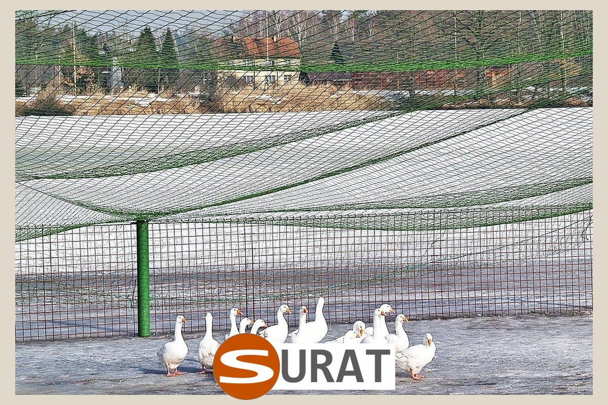  Surat - Odgrodzenie zwierząt 