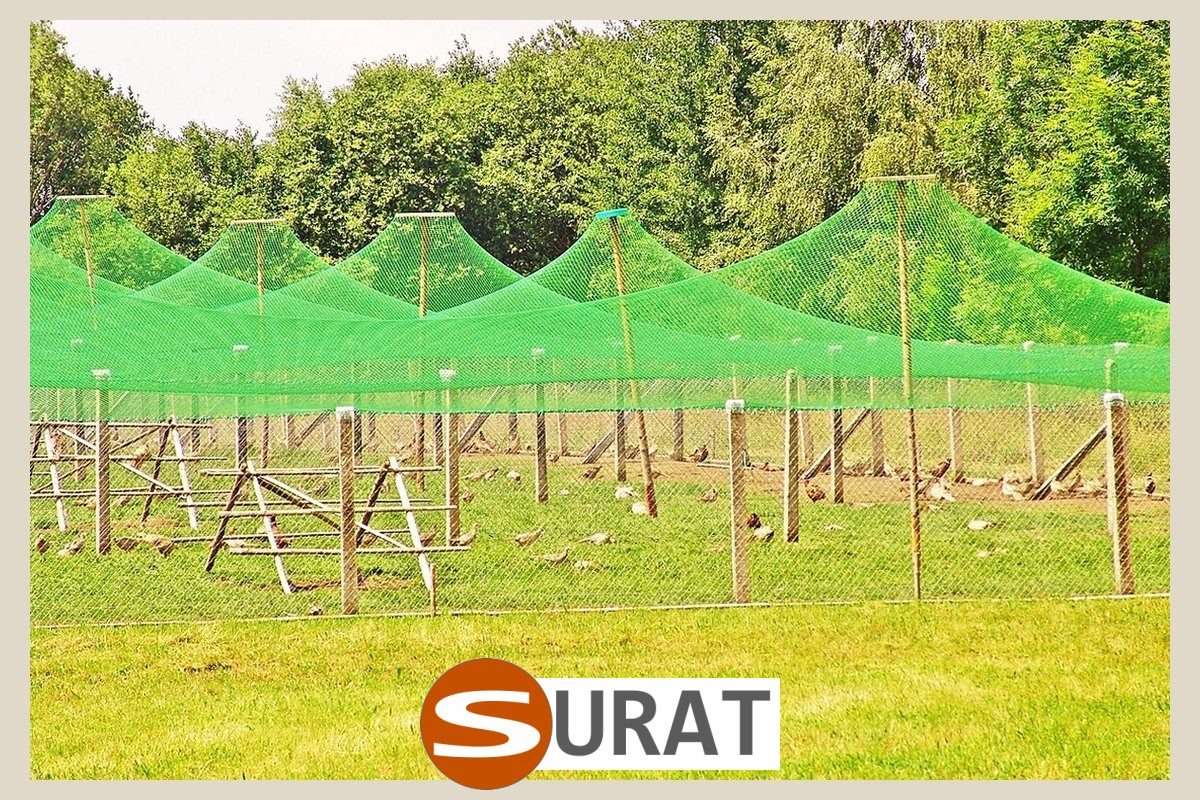  Surat - Ogrodzenie dla kur 