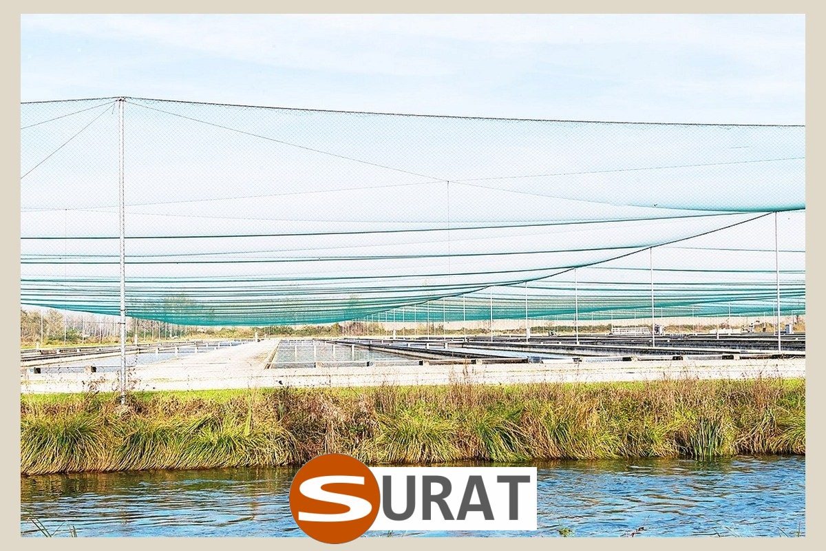  Surat - Siatki dla kur - Siatki zabezpieczające hodowle kur 