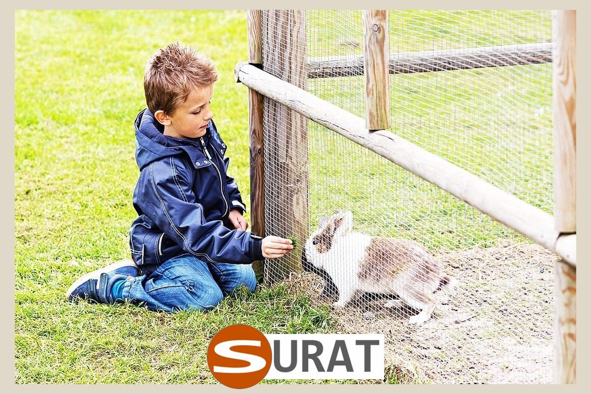  Surat - Ogrodzenie dla królików z siatki polipropylenowej 3mm, w kolorze do wyboru, o oczkach 4,5x4,5cm, montowane na twój wymiar. 
