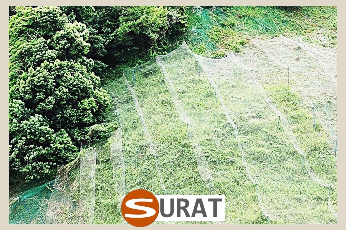  Surat - Siatki rolnicze w wymiarze 10x10cm to najlepsze i bardzo tanie rozwiązanie, mocne i wytrzymałe, najczęściej kupowane przez rolników jako skuteczne siatki rolnicze na wymiar. 
