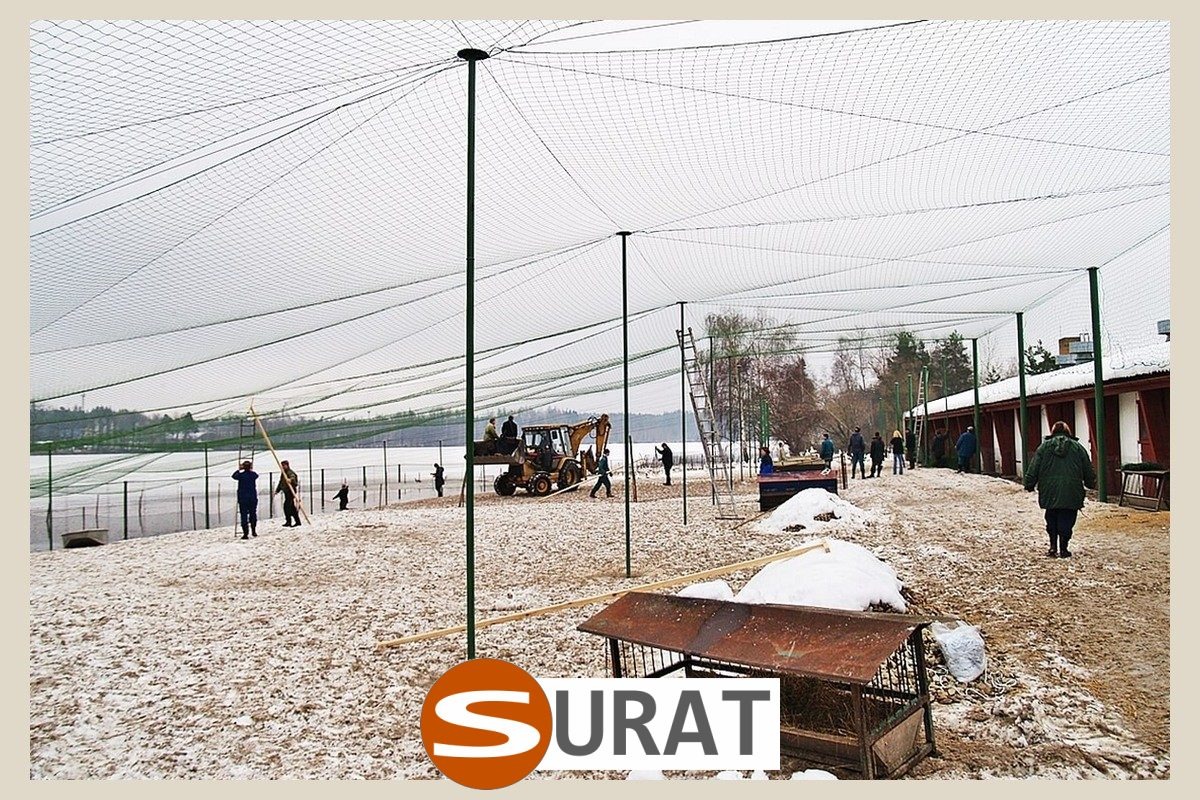  Surat - Siatki rolnicze w wymiarze 10x10cm to najlepsze i bardzo tanie rozwiązanie, mocne i wytrzymałe, najczęściej kupowane przez rolników jako skuteczne siatki rolnicze na wymiar. 