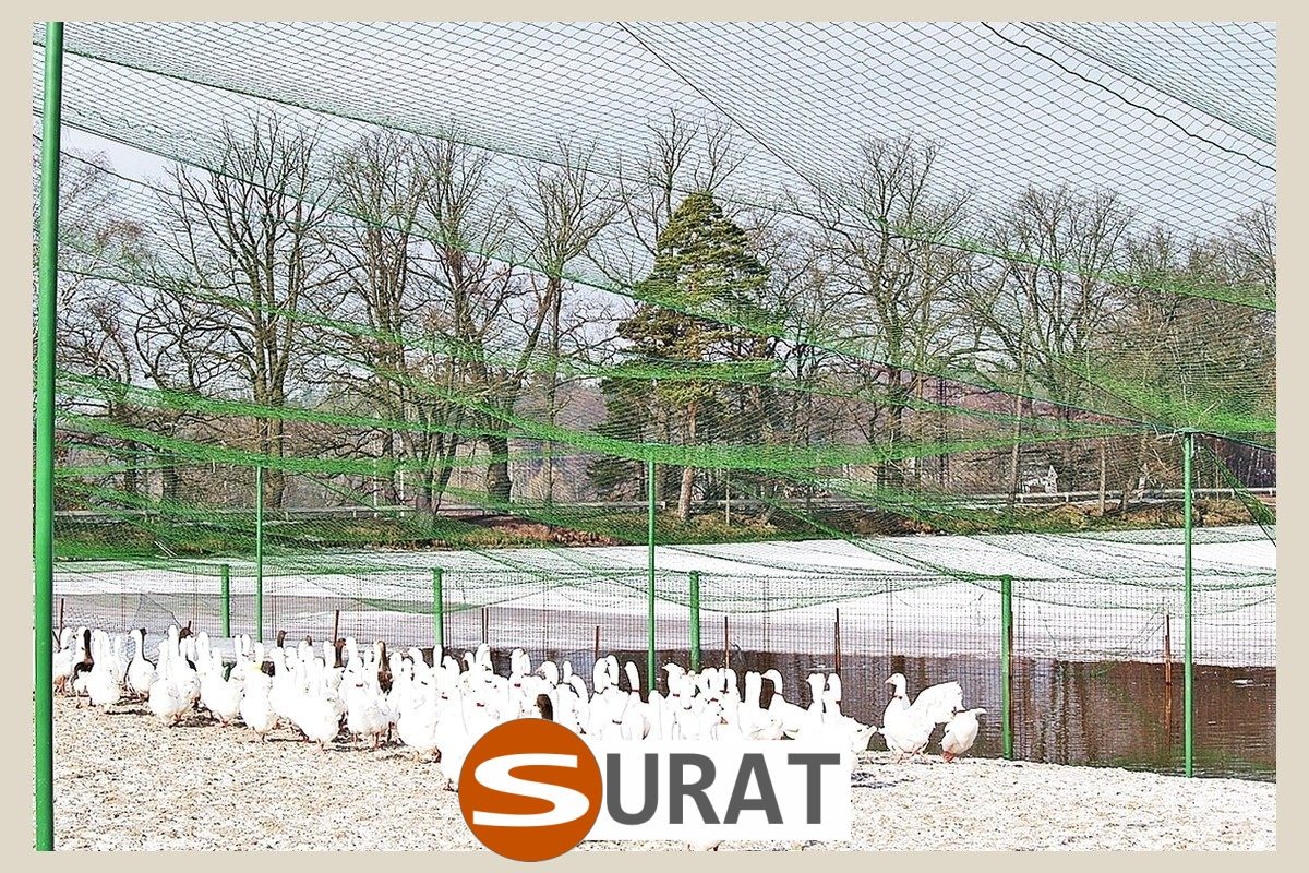   Surat - Siatki Hodowlane na wymiar z oczkami 10x10 cm i grubością 5 mm, dopasowane do twoich potrzeb w kolorze zielonym lub czarnym. 