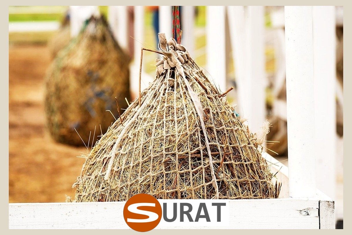   Surat - Siatka - 10x10/4 