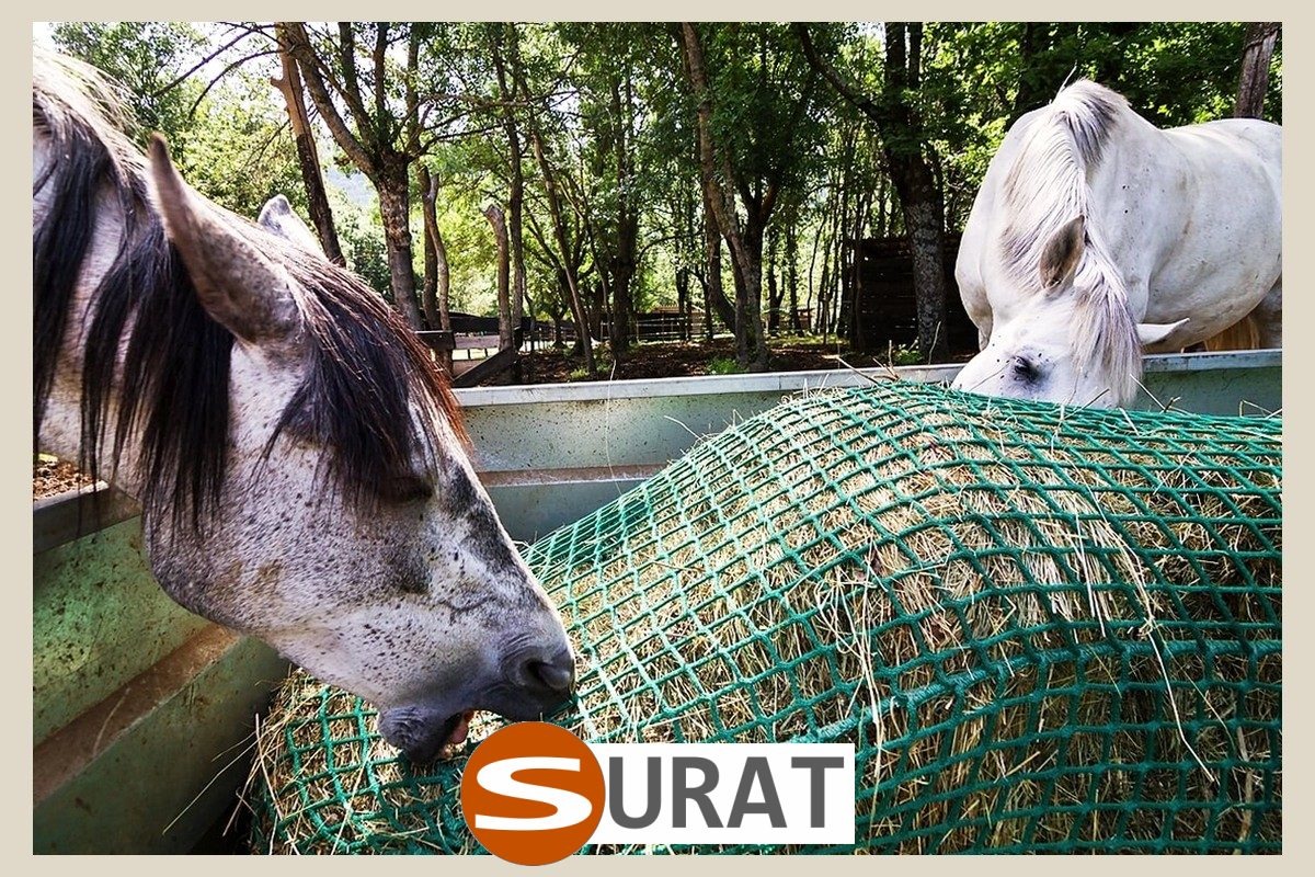   Surat - Siatki na bramki - siatka na wymiar - podaj wymiary bramki 