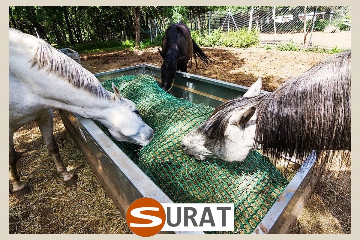   Surat - Siatka - 4x4/2 
