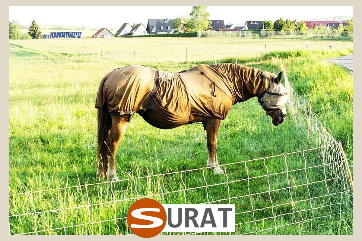   Surat - Siatki na bramki - siatka na wymiar - podaj wymiary bramki 